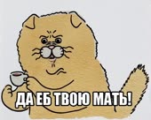600x480