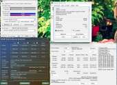 1264x915