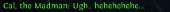384x29