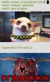 370x604