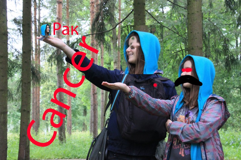 800x533