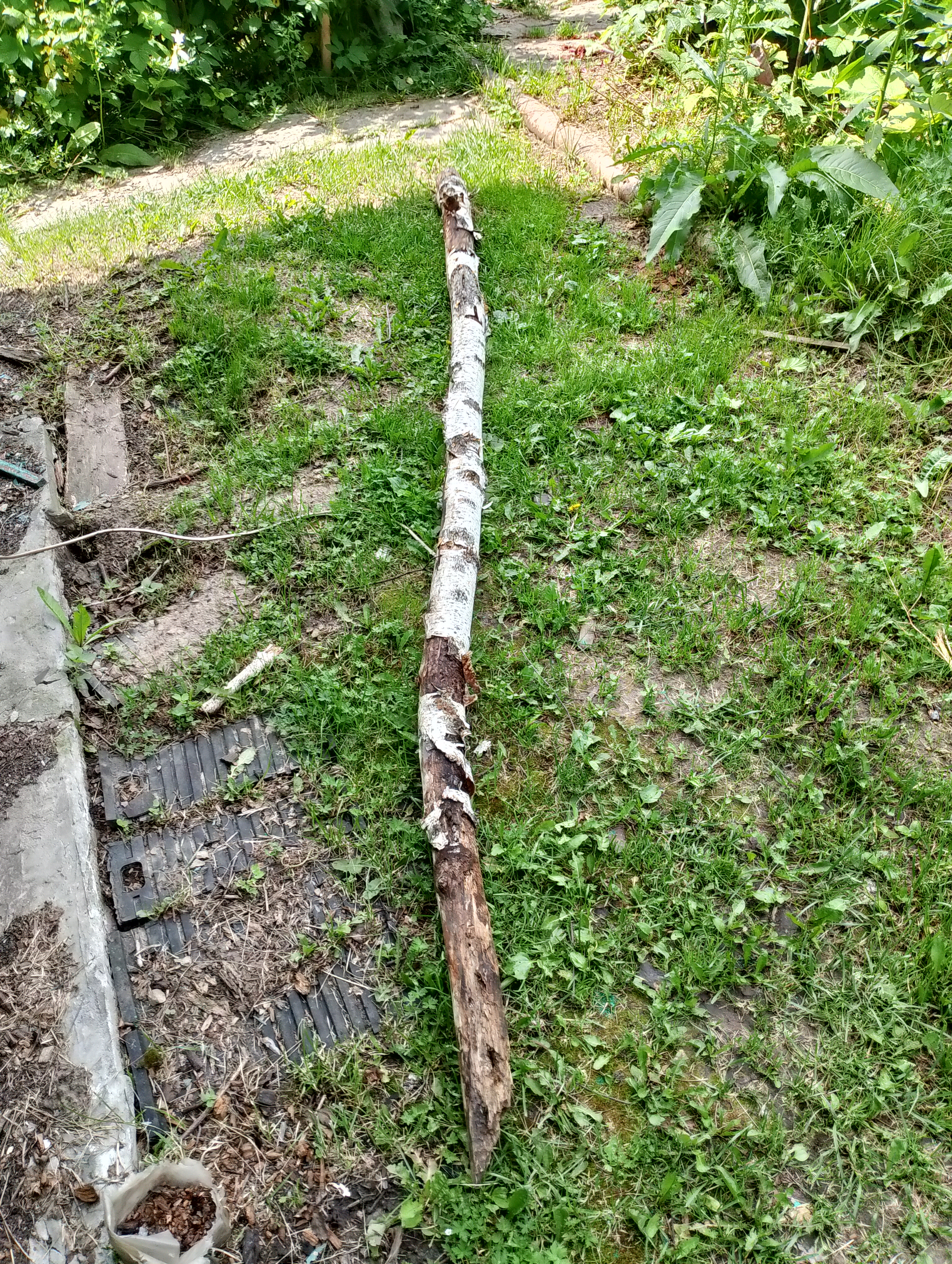 3072x4080