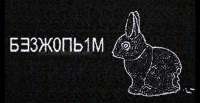 1280x664
