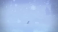 640x360