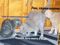 658x494