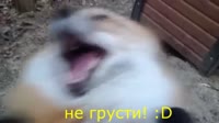 1280x720
