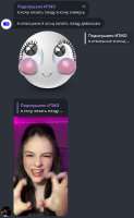 433x700