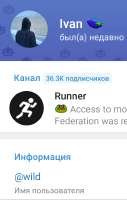 528x831