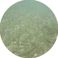 400x400