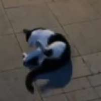 340x340