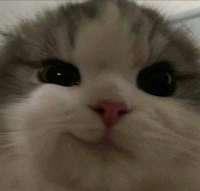 400x382