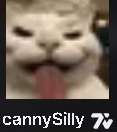117x132