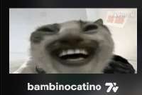 208x139