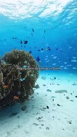 360x640