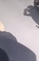 360x554