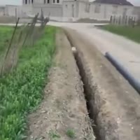 360x360