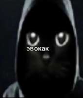 1091x1280