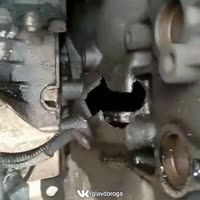 720x720