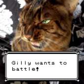 267