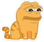 34