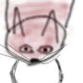 130