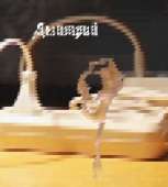 31
