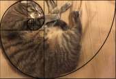 145