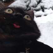 41