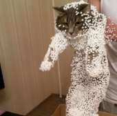 55
