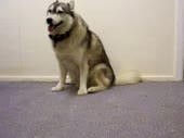 1405