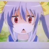 3988