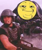 33