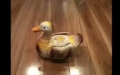2444