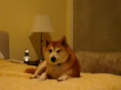 5730