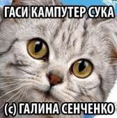 71