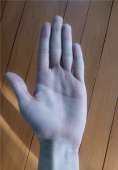 568