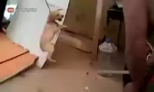 745