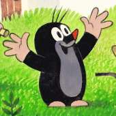 65
