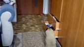 9186