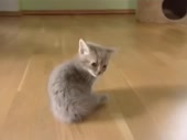 4185