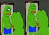 43