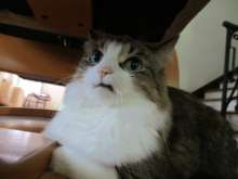 76