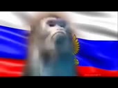 1987