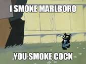 44