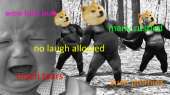 499x281