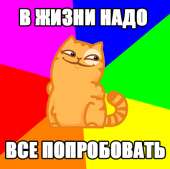 407x405