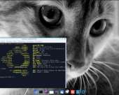 1280x1024
