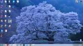 1600x900