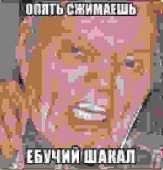 398x413