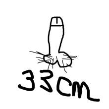 400x400